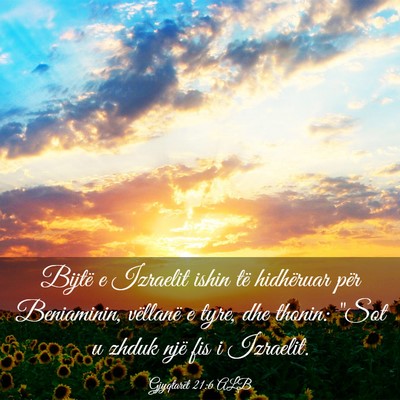 Picture 03 - Gjyqtarët 21:6 ALB - Bijtë e Izraelit ishin të hidhëruar për - Bible Verse Picture