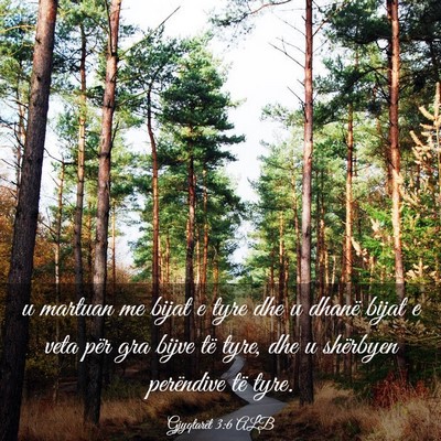 Picture 03 - Gjyqtarët 3:6 ALB - u martuan me bijat e tyre dhe u dhanë bijat e - Bible Verse Picture