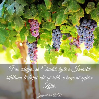 Picture 03 - Gjyqtarët 4:1 ALB - Pas vdekjes së Ehudit, bijtë e Izraelit - Bible Verse Picture