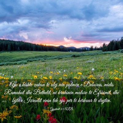 Picture 03 - Gjyqtarët 4:5 ALB - Ajo e kishte zakon të ulej nën palmën e - Bible Verse Picture