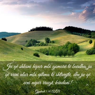 Picture 03 - Gjyqtarët 5:10 ALB - Ju që shkoni hipur mbi gomarë të bardha, ju - Bible Verse Picture