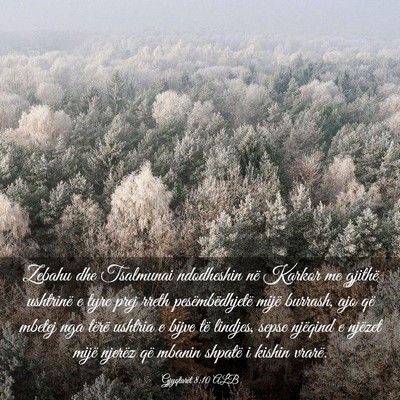 Picture 03 - Gjyqtarët 8:10 ALB - Zebahu dhe Tsalmunai ndodheshin në Karkor me - Bible Verse Picture