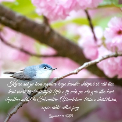 Picture 03 - Gjyqtarët 9:18 ALB - Kurse sot ju keni ngritur krye kundër shtëpisë - Bible Verse Picture