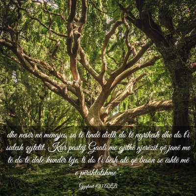 Picture 03 - Gjyqtarët 9:33 ALB - dhe nesër në mëngjes, sa të lindë dielli do - Bible Verse Picture