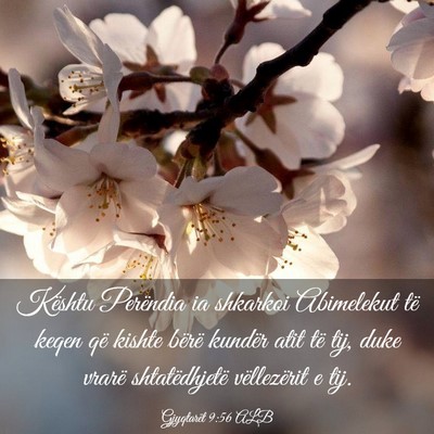 Picture 03 - Gjyqtarët 9:56 ALB - Kështu Perëndia ia shkarkoi Abimelekut të - Bible Verse Picture