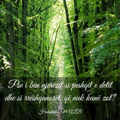 Picture 03 - Habakuku 1:14 ALB - Pse i bën njerëzit si peshqit e detit dhe si - Bible Verse Picture