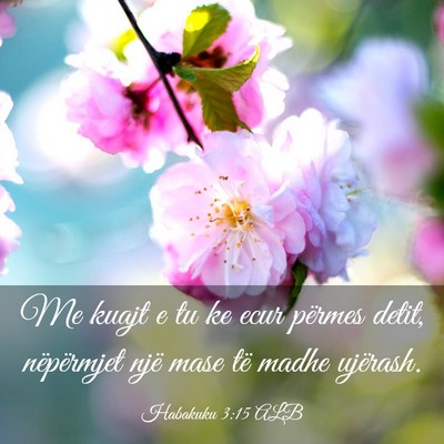 Picture 03 - Habakuku 3:15 ALB - Me kuajt e tu ke ecur përmes detit, nëpërmjet - Bible Verse Picture