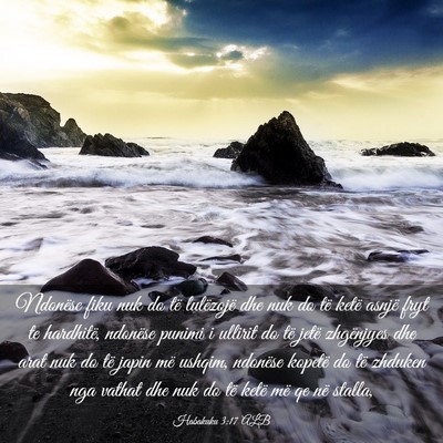 Picture 03 - Habakuku 3:17 ALB - Ndonëse fiku nuk do të lulëzojë dhe nuk do - Bible Verse Picture