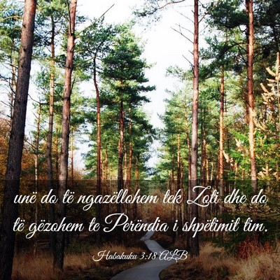 Picture 03 - Habakuku 3:18 ALB - unë do të ngazëllohem tek Zoti dhe do të - Bible Verse Picture