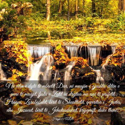 Picture 03 - Hagai 1:1 ALB - Në vitin e dytë të mbretit Dar, në muajin e - Bible Verse Picture