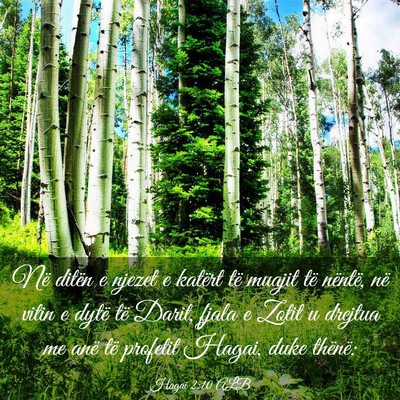 Picture 03 - Hagai 2:10 ALB - Në ditën e njezet e katërt të muajit të - Bible Verse Picture
