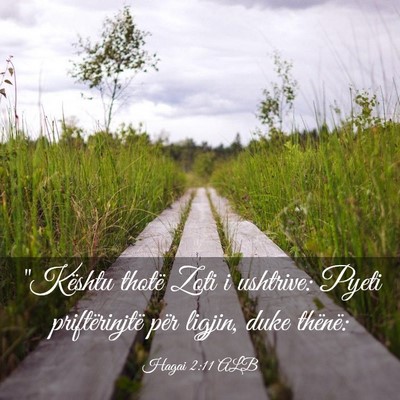 Picture 03 - Hagai 2:11 ALB - 