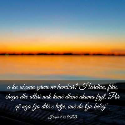 Picture 03 - Hagai 2:19 ALB - a ka akoma grurë në hambar? Hardhia, fiku, - Bible Verse Picture