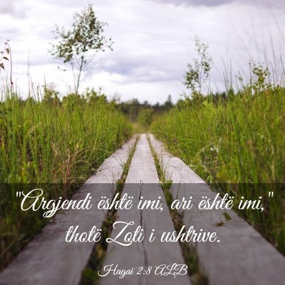 Picture 03 - Hagai 2:8 ALB - 