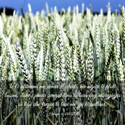 Picture 03 - Hebrenjve 10:22 ALB - le t’i afrohemi me zemër të vërtetë, me - Bible Verse Picture