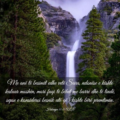 Picture 03 - Hebrenjve 11:11 ALB - Me anë të besimit edhe vetë Sara, ndonëse e - Bible Verse Picture