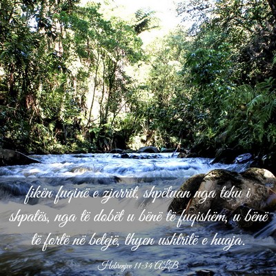 Picture 03 - Hebrenjve 11:34 ALB - fikën fuqinë e zjarrit, shpëtuan nga tehu i - Bible Verse Picture