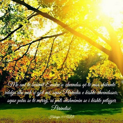 Picture 03 - Hebrenjve 11:5 ALB - Me anë të besimit Enoku u zhvendos që të mos - Bible Verse Picture