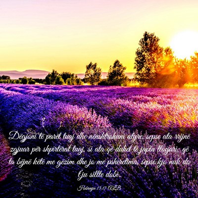 Picture 03 - Hebrenjve 13:17 ALB - Dëgjoni të parët tuaj dhe nënshtrohuni atyre, - Bible Verse Picture