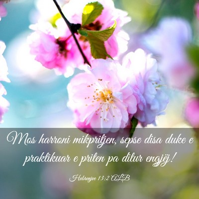 Picture 03 - Hebrenjve 13:2 ALB - Mos harroni mikpritjen, sepse disa duke e - Bible Verse Picture