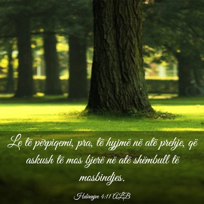 Picture 03 - Hebrenjve 4:11 ALB - Le të përpiqemi, pra, të hyjmë në atë - Bible Verse Picture