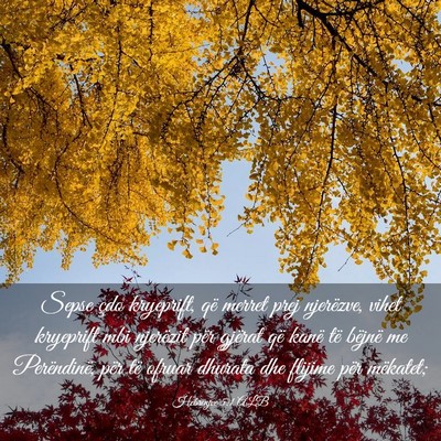 Picture 03 - Hebrenjve 5:1 ALB - Sepse çdo kryeprift, që merret prej njerëzve, - Bible Verse Picture