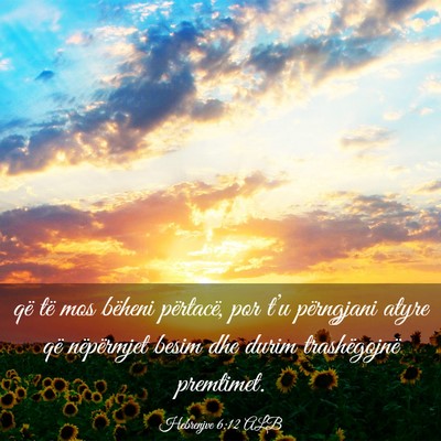 Picture 03 - Hebrenjve 6:12 ALB - që të mos bëheni përtacë, por t’u - Bible Verse Picture