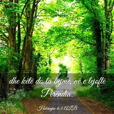Picture 03 - Hebrenjve 6:3 ALB - dhe këtë do ta bëjmë, në e lejoftë - Bible Verse Picture