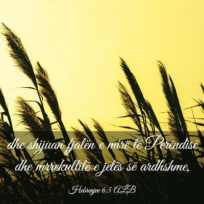 Picture 03 - Hebrenjve 6:5 ALB - dhe shijuan fjalën e mirë të Perëndisë dhe - Bible Verse Picture