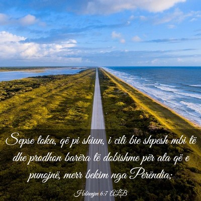 Picture 03 - Hebrenjve 6:7 ALB - Sepse toka, që pi shiun, i cili bie shpesh mbi - Bible Verse Picture