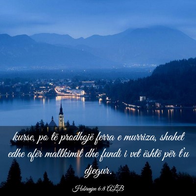 Picture 03 - Hebrenjve 6:8 ALB - kurse, po të prodhojë ferra e murriza, shahet - Bible Verse Picture