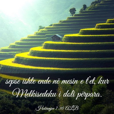 Picture 03 - Hebrenjve 7:10 ALB - sepse ishte ende në mesin e t’et, kur - Bible Verse Picture