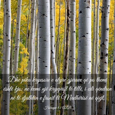 Picture 03 - Hebrenjve 8:1 ALB - Dhe pika kryesore e atyre gjërave që po themi - Bible Verse Picture