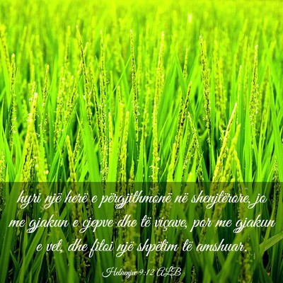Picture 03 - Hebrenjve 9:12 ALB - hyri një herë e përgjithmonë në - Bible Verse Picture