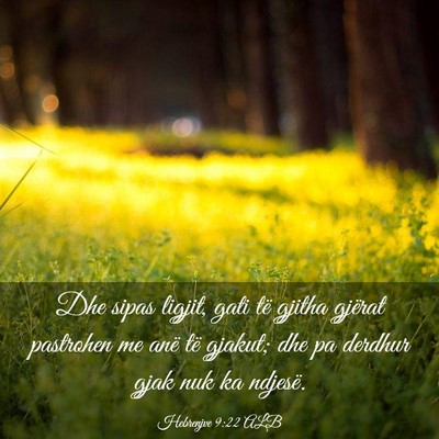 Picture 03 - Hebrenjve 9:22 ALB - Dhe sipas ligjit, gati të gjitha gjërat - Bible Verse Picture