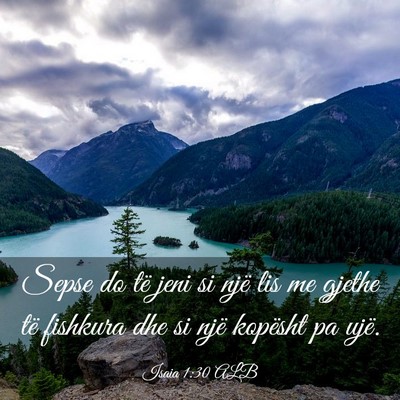 Picture 03 - Isaia 1:30 ALB - Sepse do të jeni si një lis me gjethe të - Bible Verse Picture