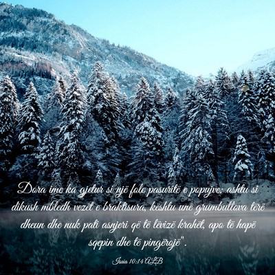 Picture 03 - Isaia 10:14 ALB - Dora ime ka gjetur si një fole pasuritë e - Bible Verse Picture