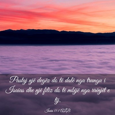 Picture 03 - Isaia 11:1 ALB - Pastaj një degëz do të dalë nga trungu i - Bible Verse Picture