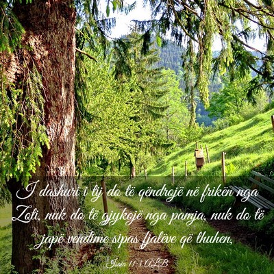 Picture 03 - Isaia 11:3 ALB - I dashuri i tij do të qëndrojë në frikën nga - Bible Verse Picture