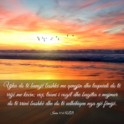 Picture 03 - Isaia 11:6 ALB - Ujku do të banojë bashkë me qengjin dhe - Bible Verse Picture
