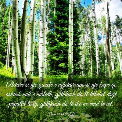 Picture 03 - Isaia 13:14 ALB - Atëherë si një gazelë e ndjekur apo si një - Bible Verse Picture
