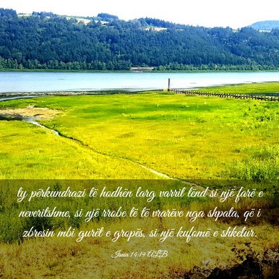 Picture 03 - Isaia 14:19 ALB - ty përkundrazi të hodhën larg varrit tënd si - Bible Verse Picture