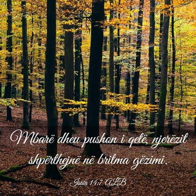 Picture 03 - Isaia 14:7 ALB - Mbarë dheu pushon i qetë, njerëzit - Bible Verse Picture
