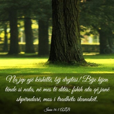 Picture 03 - Isaia 16:3 ALB - Na jep një këshillë, bëj drejtësi! Bëje - Bible Verse Picture