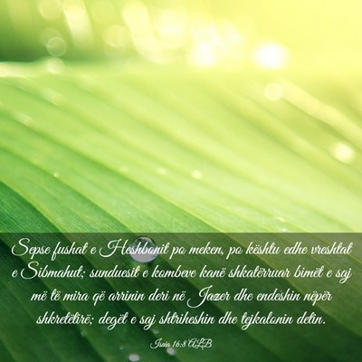 Picture 03 - Isaia 16:8 ALB - Sepse fushat e Heshbonit po meken, po kështu - Bible Verse Picture