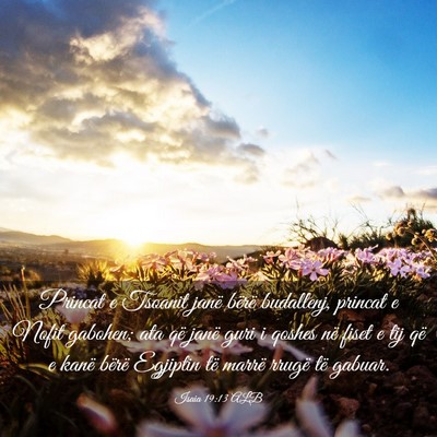 Picture 03 - Isaia 19:13 ALB - Princat e Tsoanit janë bërë budallenj, princat - Bible Verse Picture