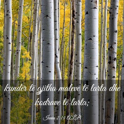 Picture 03 - Isaia 2:14 ALB - kundër të gjitha maleve të larta dhe kodrave - Bible Verse Picture