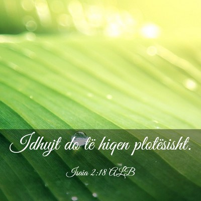 Picture 03 - Isaia 2:18 ALB - Idhujt do të hiqen - Bible Verse Picture
