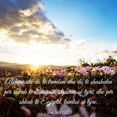 Picture 03 - Isaia 20:5 ALB - Atëherë ata do të tremben dhe do të shushaten - Bible Verse Picture