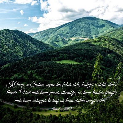 Picture 03 - Isaia 23:4 ALB - Ki turp, o Sidon, sepse ka folur deti, kalaja e - Bible Verse Picture